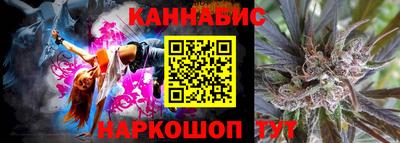 гашик Вышний Волочёк