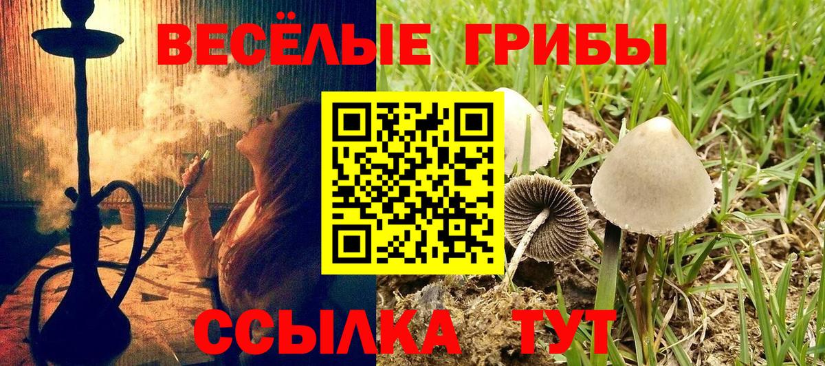 Мирный  Псилоцибиновые грибы прущие грибы  где найти наркотики  Вход с VPN  Псилоцибиновые грибы прущие грибы 
