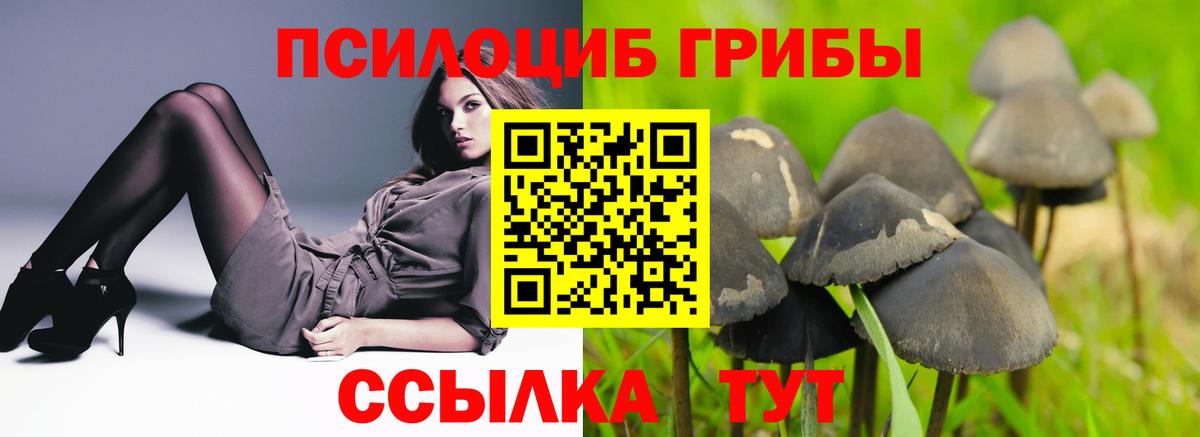 Галлюциногенные грибы Psilocybe Мирный